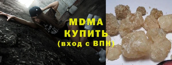 прущие грибы Алзамай