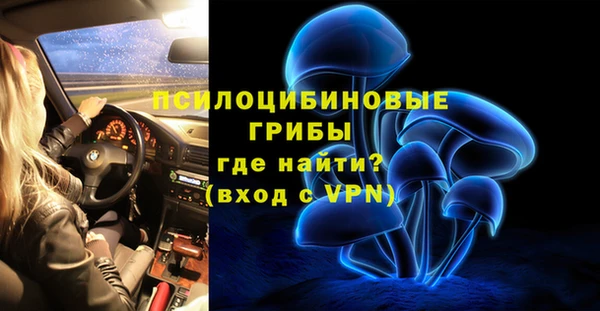 амф Абинск