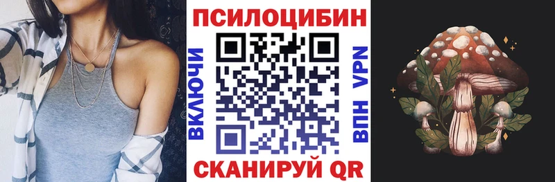 мега ссылка  Клинцы  Галлюциногенные грибы Psilocybine cubensis 